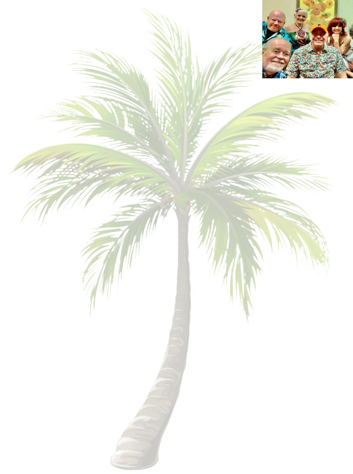 Palm Tree background